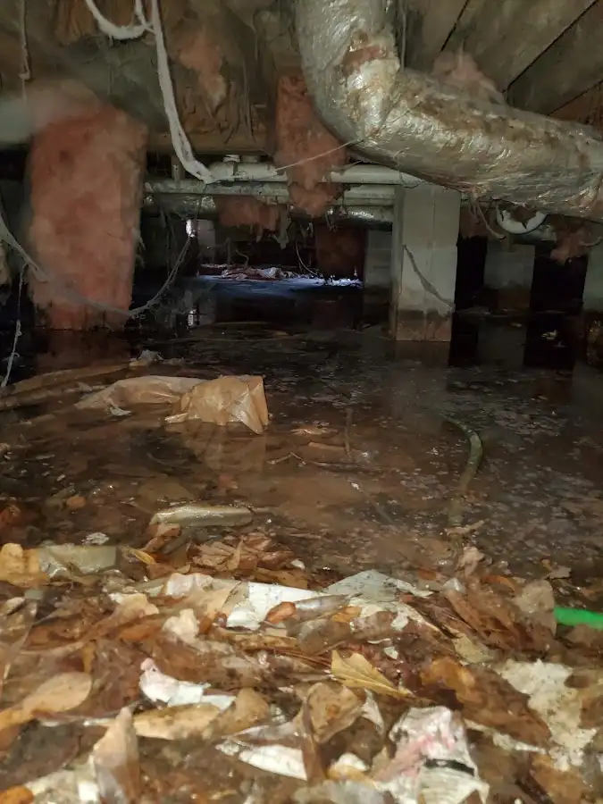 Crawl space flood assessment for Leak Detection & Repair in Allendale