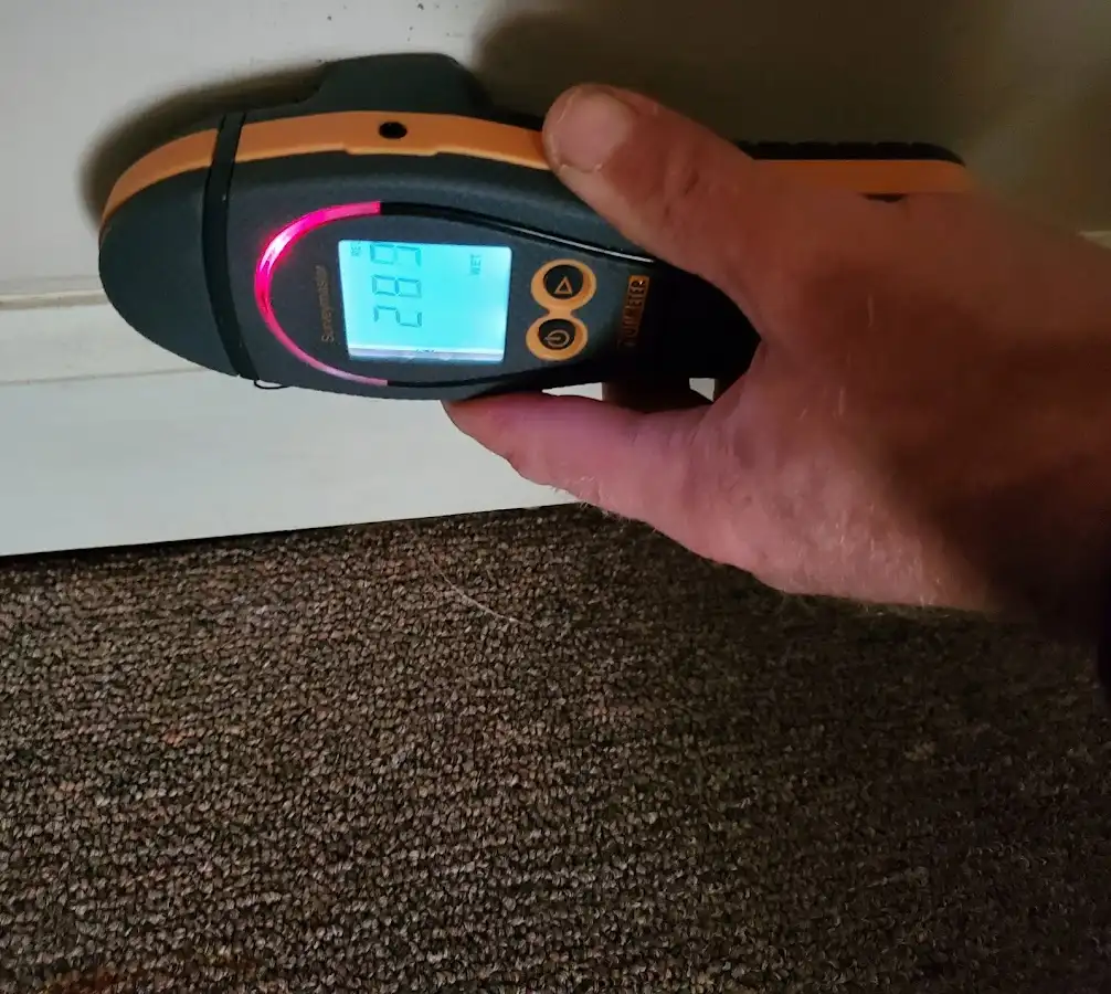 Moisture detection at baseboard during Burst Pipe Cleanup in Allendale